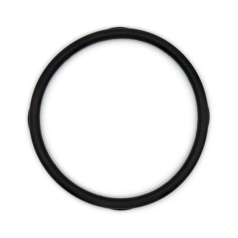 O-Ring, Top of Tank - 1010154