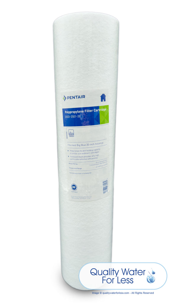 Pentek DGD-2501-20 Sediment Cartridge, 155360-43 | Filters & Housings | qualitywaterforless.com
