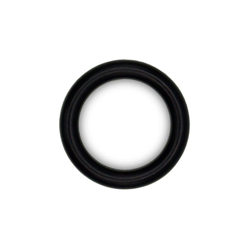O-Ring, Autotrol Riser Port - 1232370 (Was 1010428)